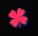 Bonus Feature Icon